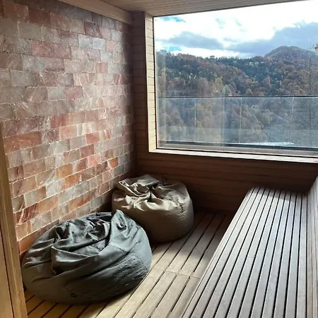 Stasa Zoned Ii Apartment Kopaonik