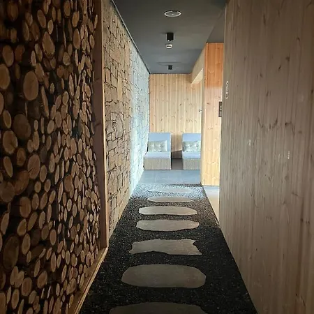 Stasa Zoned Ii * Kopaonik